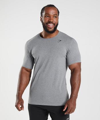 Gymshark Essential T Shirts Herr Grå | SE 3822DFM